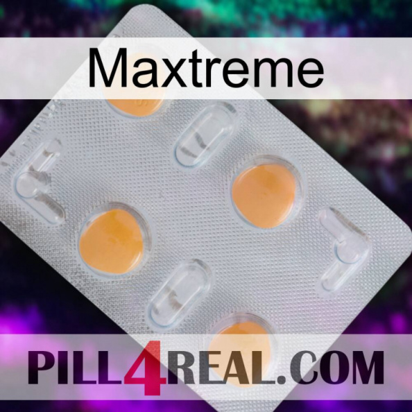 Maxtreme 24.jpg